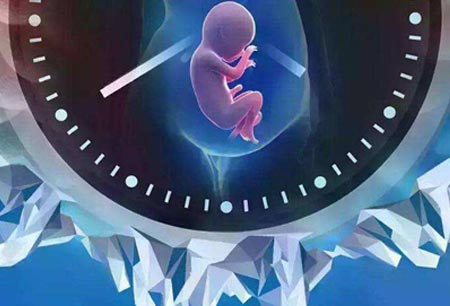 老公弱精4次怀孕都生化了 老公弱精4次怀孕都生化了正常吗